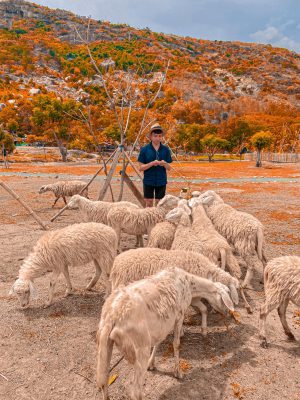tour-du-lich-can-tho-nha-trang