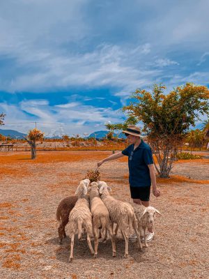 tour-du-lich-hau-giang-nha-trang1
