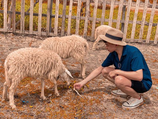tour-du-lich-tay-ninh-nha-trang3