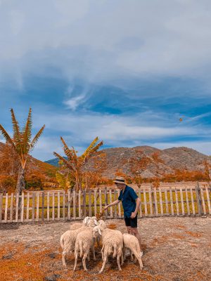 tour-du-lich-thai-nguyen-nha-trang1