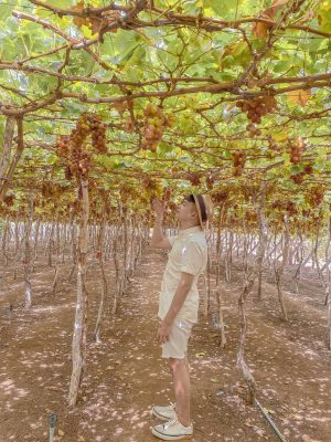 tour-du-lich-tuyen-quang-nha-trang2